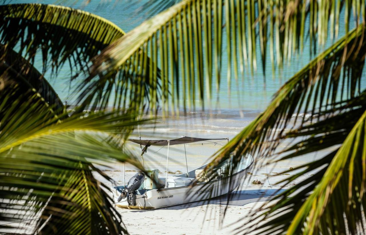 Casa Las Tortugas Petit Beach Hotel & Spa Isla Holbox Kültér fotó
